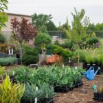 the benefits of plant nurseries webfreen.com