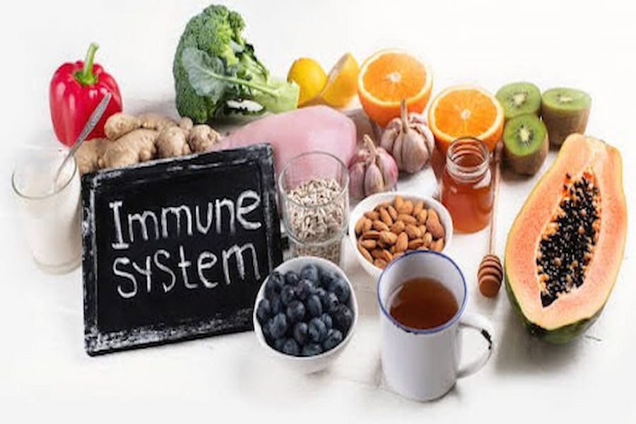 Autoimmune Protocol Diet