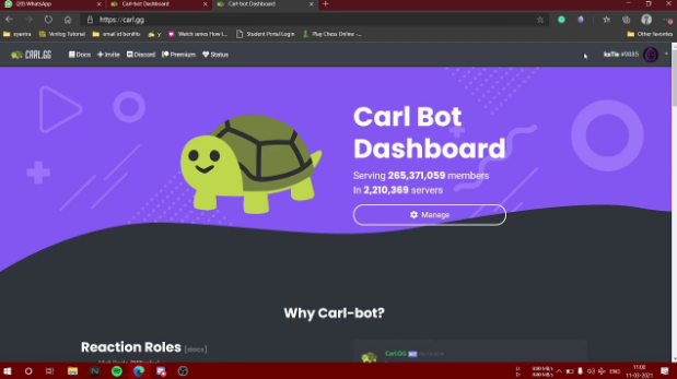 Carl Bot Dashboard